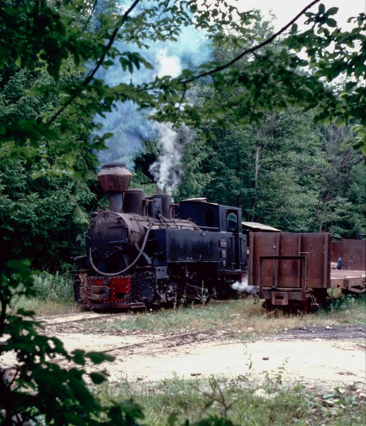 43235906182_0e49d3fe1e_k